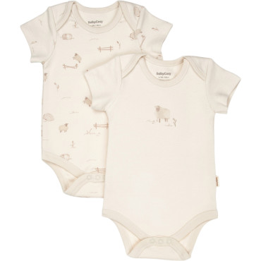 Body set 2pcs (pack of 6 sets)