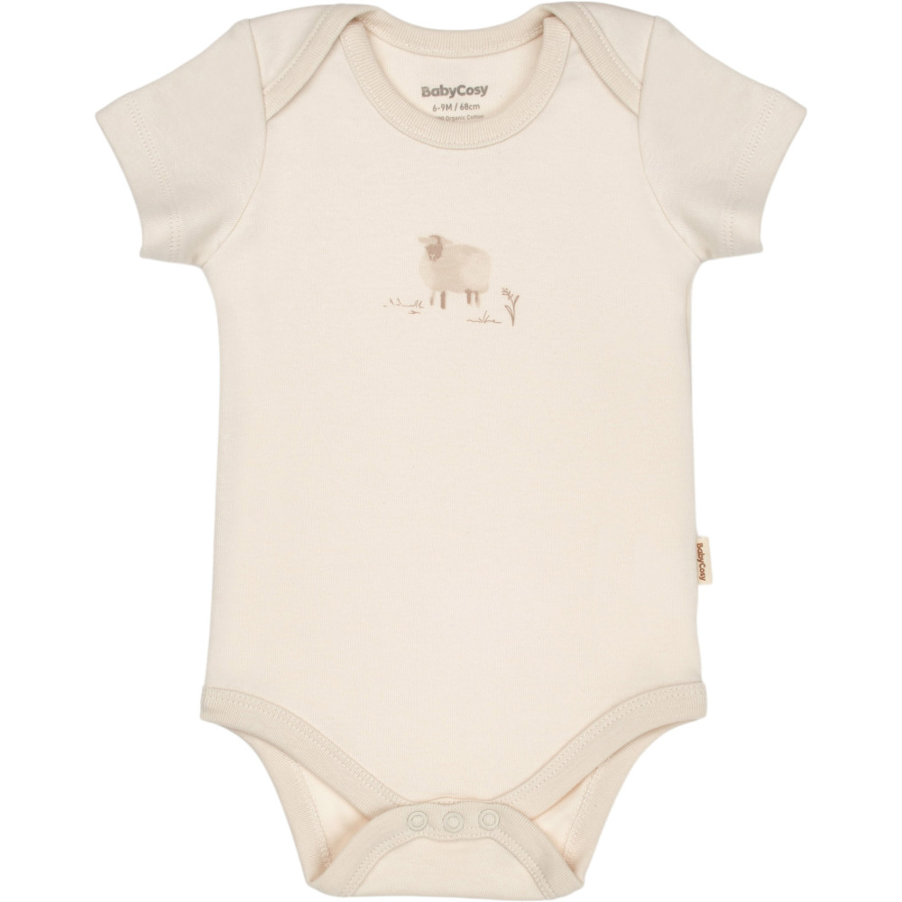 Body set 2pcs (pack of 6 sets)