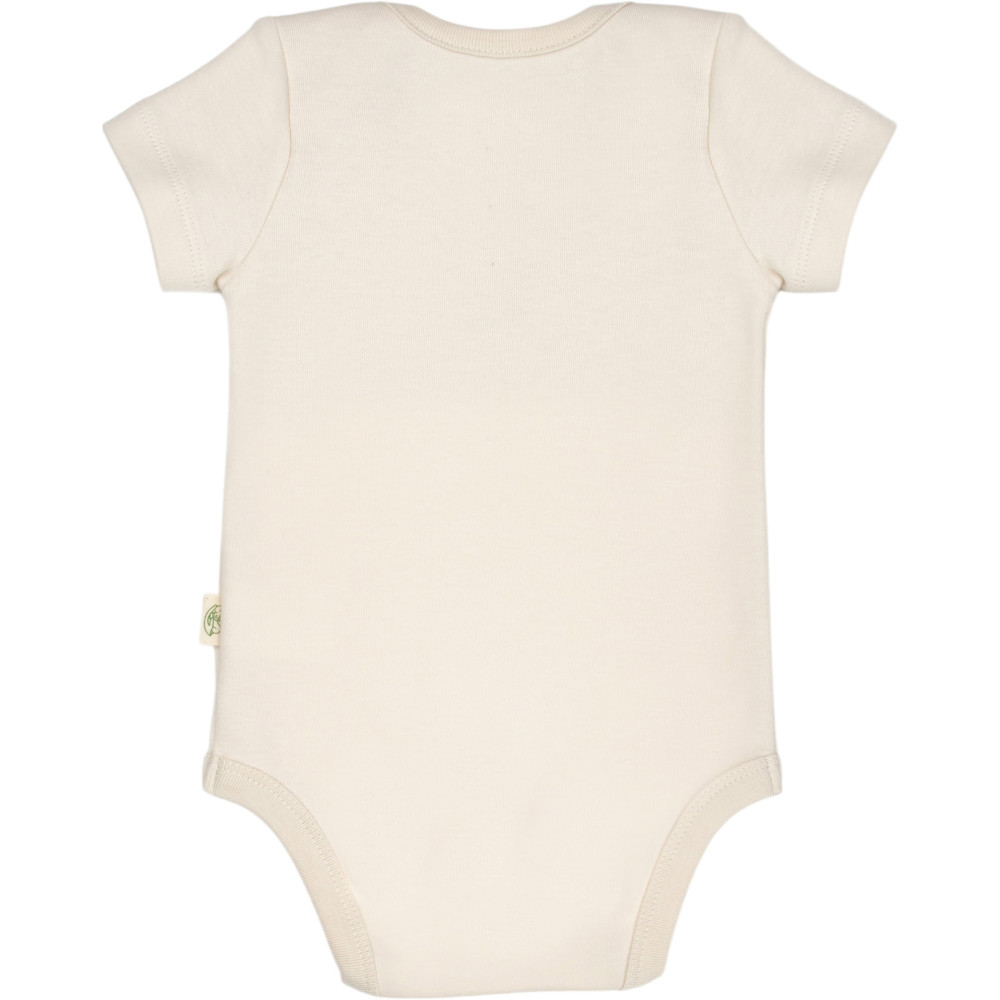 Body set 2pcs (pack of 6 sets)