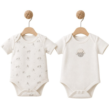 Body set 2pcs (pack of 6 sets)