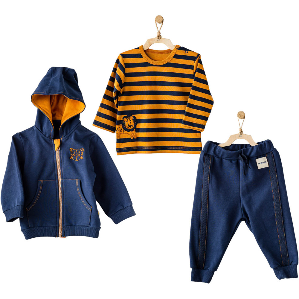 Set sweater+sweater+pants, series LION