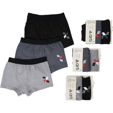 Set briefs 2pcs (pack of 6 sets) Pola