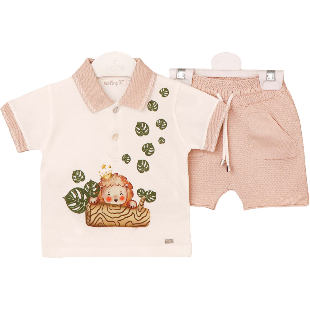 Set T-shirt+shorts