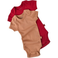 Body set 2pcs (pack of 6 sets)