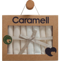 Handkerchiefs (7pcs), series CUTE BEAR