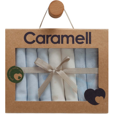 Handkerchiefs (7pcs), series CUTE BEAR