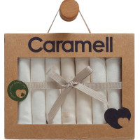 Handkerchiefs (7pcs), series CUTE BEAR