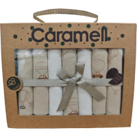 Handkerchiefs (7pcs), series BASIC