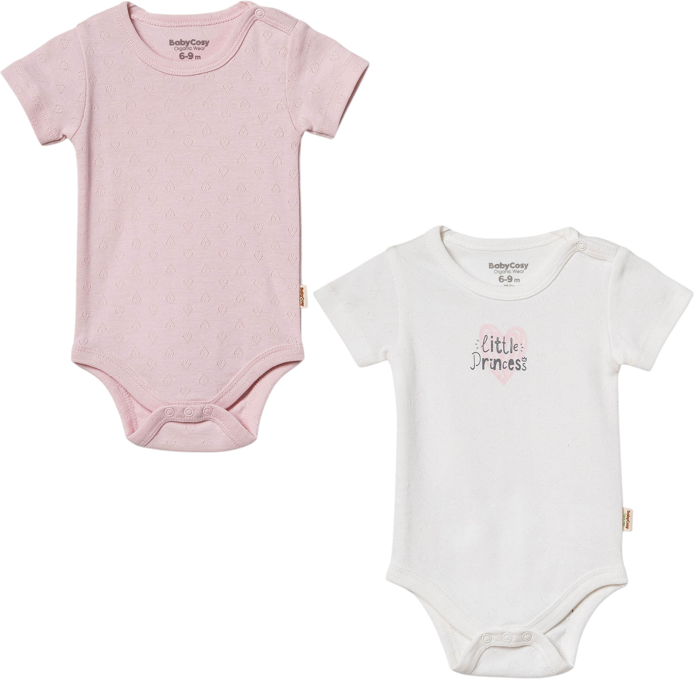 Body set 2pcs (pack of 6 sets)