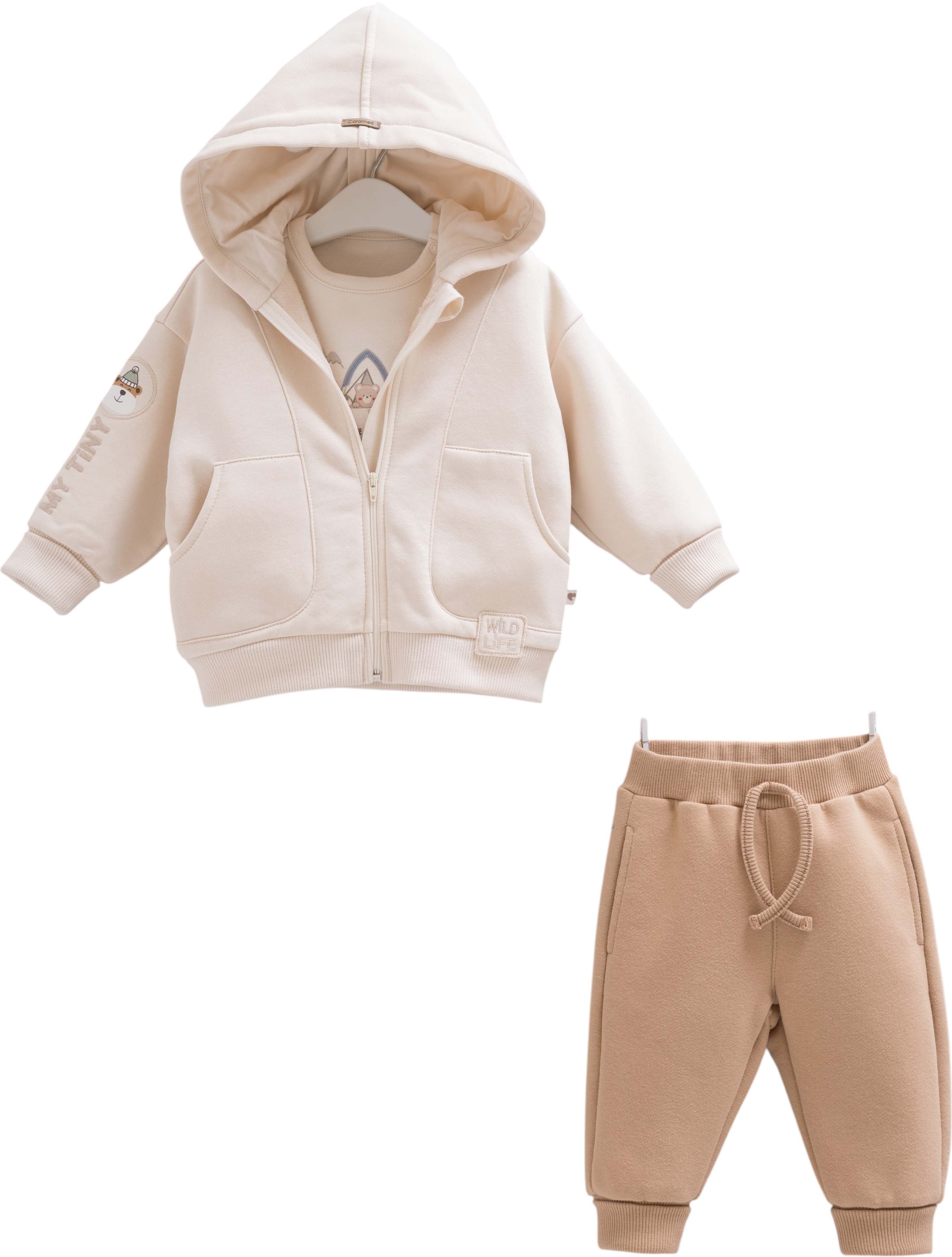 Set sweater+sweater+pants, series WILD