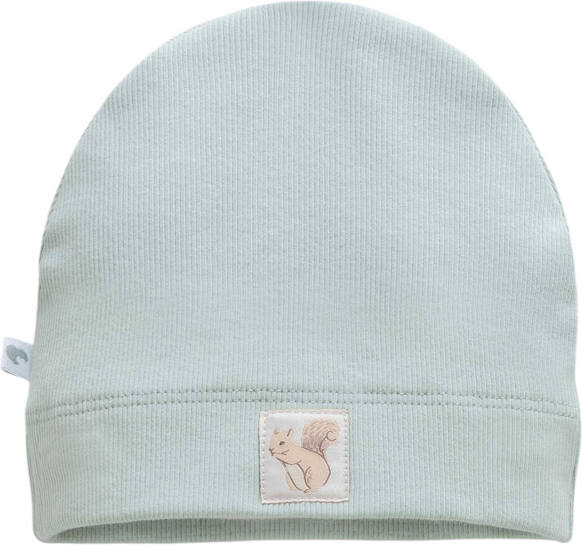 Hat, series HELLO FOREST