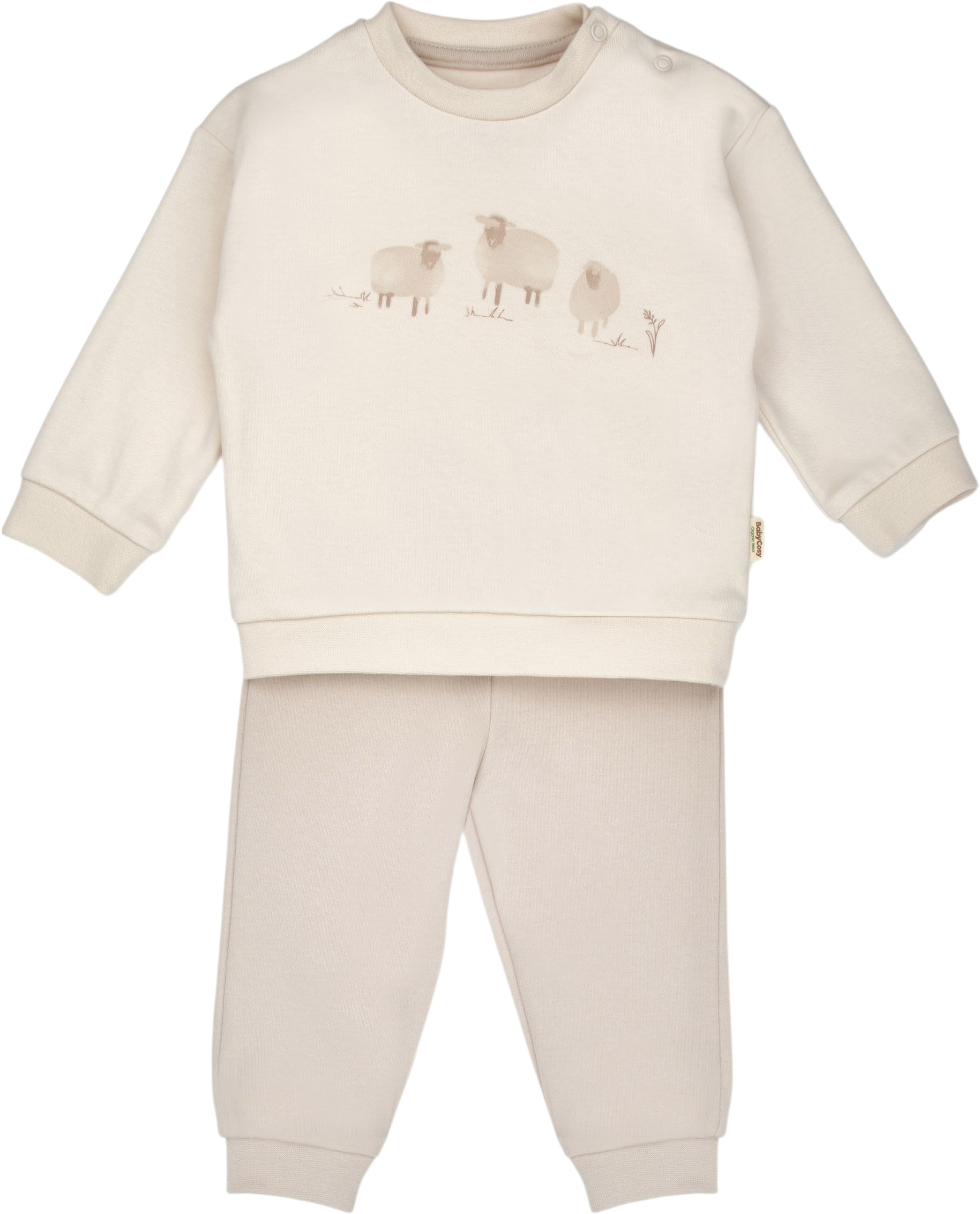 Set sweatshirt+pants