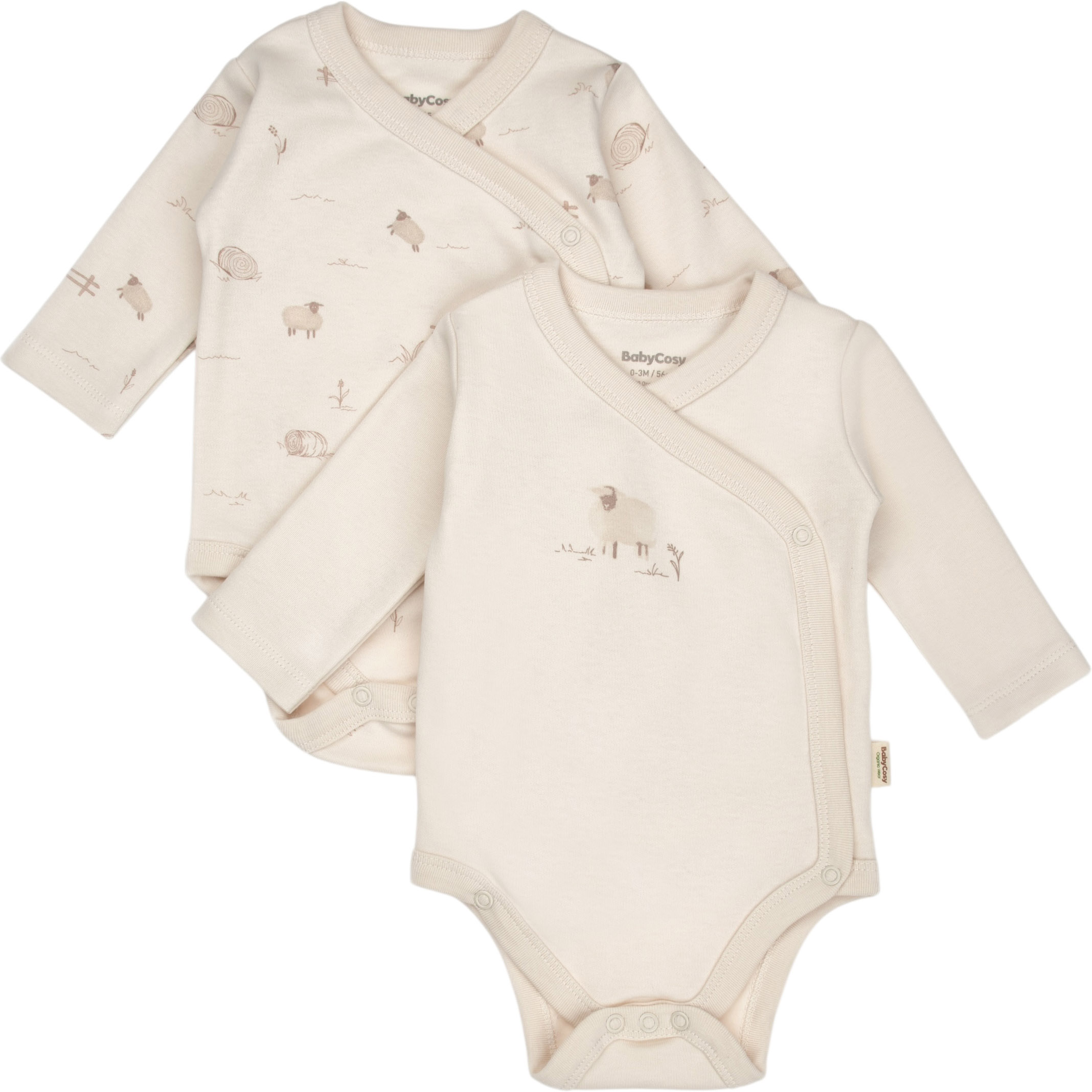 Body set 2pcs (pack of 2 sets) Body set 2pcs (pack of 2 sets)